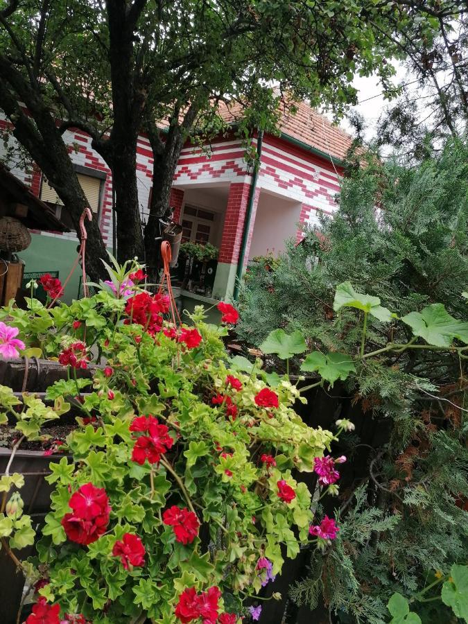 Etno Apartmani "Vlaska Kuca" Kladovo Exterior photo
