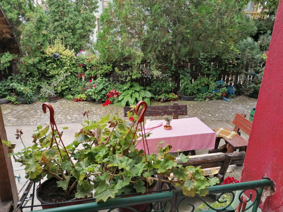 Etno Apartmani "Vlaska Kuca" Kladovo Exterior photo